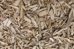 biomass boilers Chudleigh